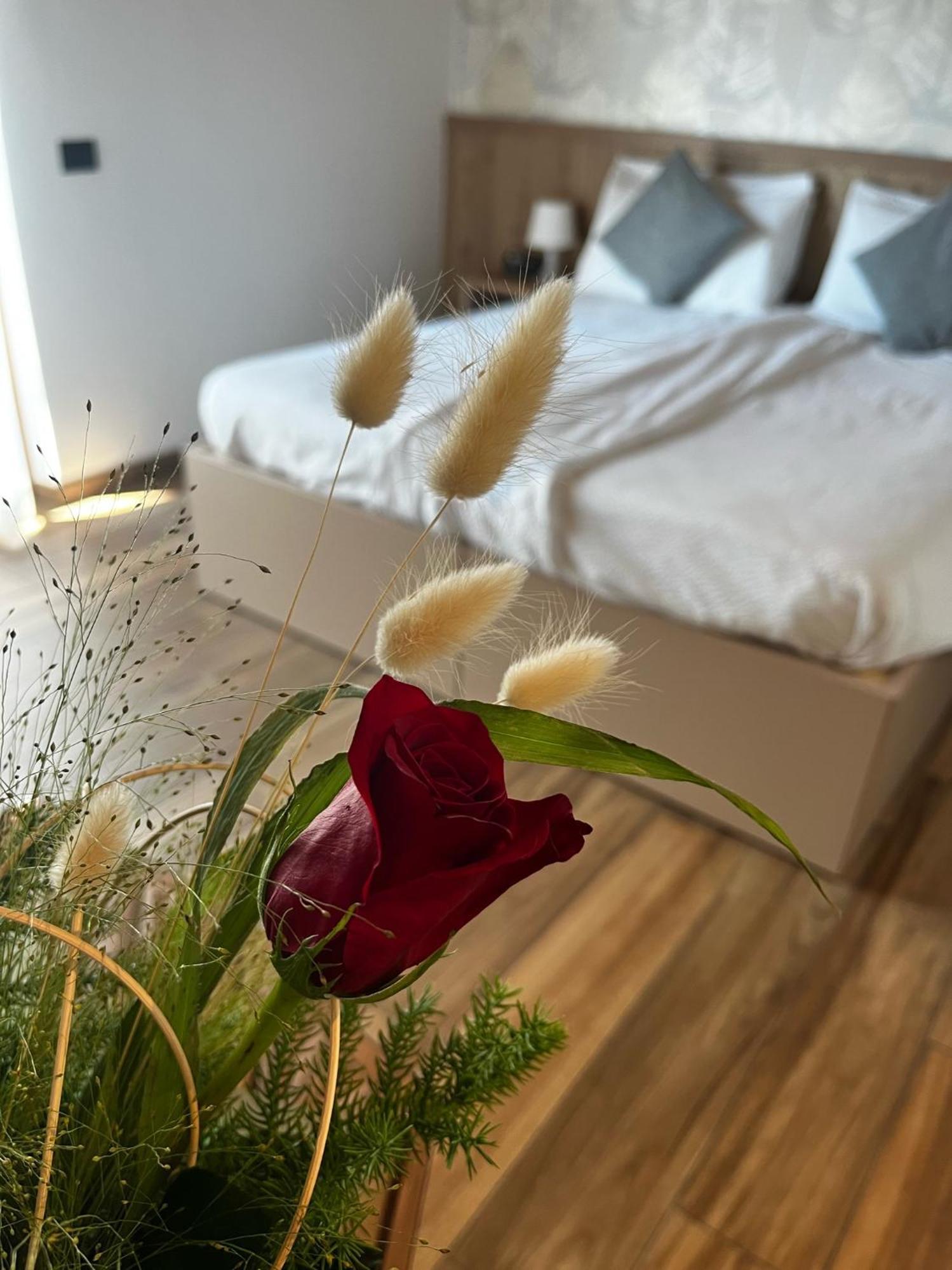 Agriturismo Maso Miri Тренто Экстерьер фото